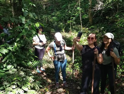 a group of people walking through a forest