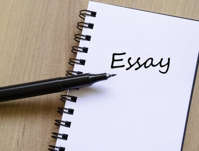 Essay Writing