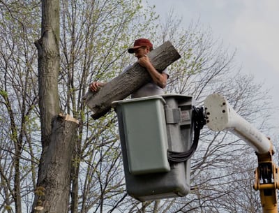 a man is working on a tree stump