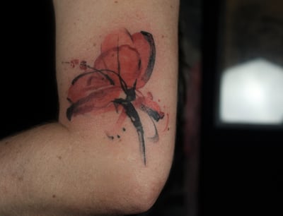 Hibisco