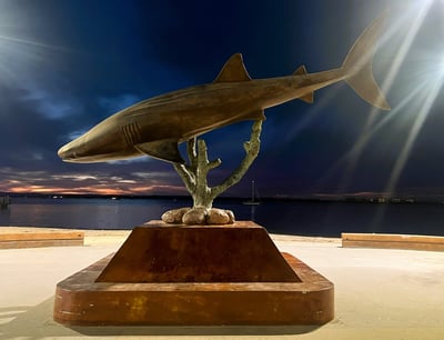 a statue of a whale shark
