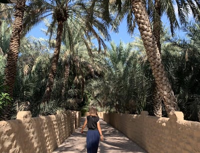 Oasi di Al Ain negli Emirati Arabi