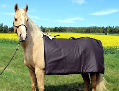 https://www.vettech.eu/produkt/magmobil-multi-universal/