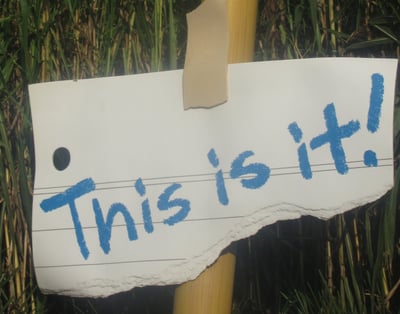 this-is-it-text