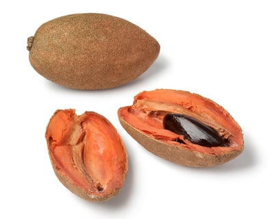 bebidas-ancestrales-mexicanas-hueso-de-mamey