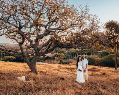 Fotografo de casamento BH