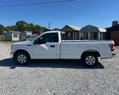 2019 F-150