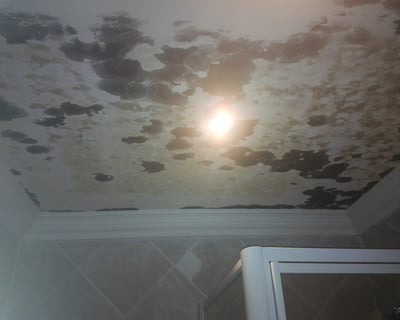 Black mould on ceiling due to extensive roof leaks