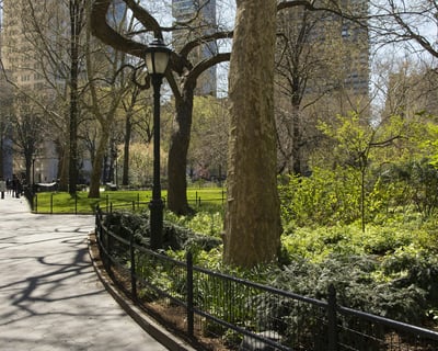 Central Park, New-York