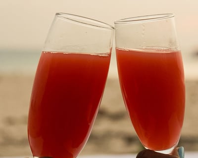 cheers at sunset in Barbados