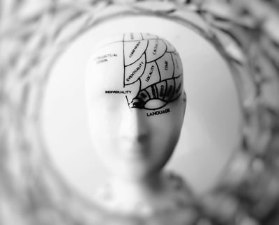 Aprendeblog Neurociencia