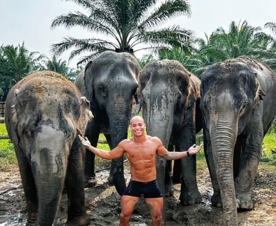 foto com elefantes em um santuário ético na Tailandia