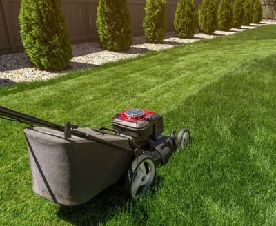 Lawn cut to perfection in Mississauga backyard -- Smiling Lawn