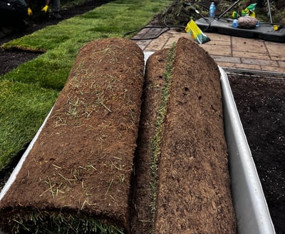 Fresh sod installed in Mississauga backyard -- Smiling Lawn