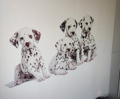 wall printers