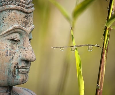 relations apaisées-trouver ressources et force de vie-surmonter problèmes et deuil et séparation