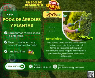 poda-de-arboles-en-altafulla.jpg