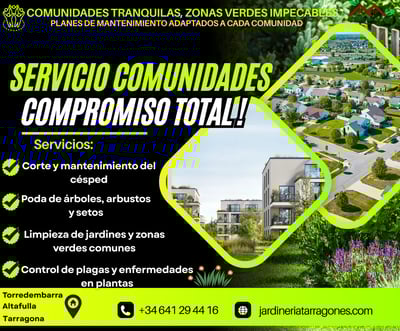 jardineros-profesionales-en-tarragona.jpg