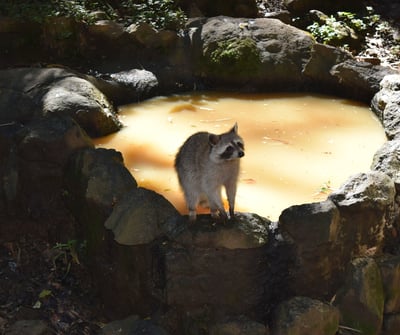 zoo voyage france guadeloupe