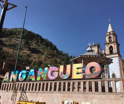 tour avistamiento de luciernagas