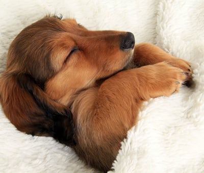 Amélioration du sommeil