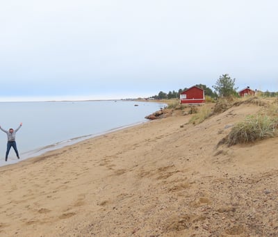 Ein Spaßvogel am Strand