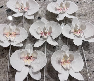 Moth Orchid Sugar Flowers For Cakes