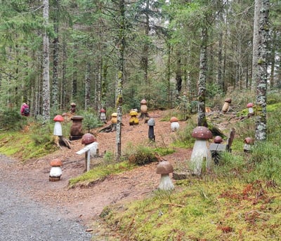Pilze am Zauberwaldpfad