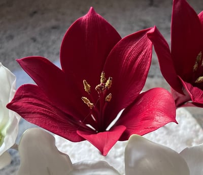 Sugar Flowers For Cakes Amaryllis