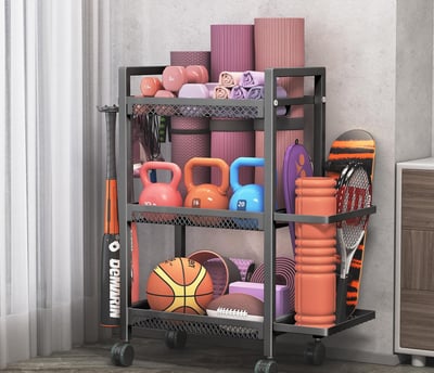 a shelf with a variety of different types of exercise equipment