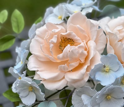 Sugar Flowers For Cakes Rugosa Rose