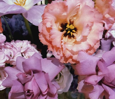 a vase with flowers