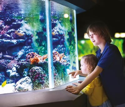 Acquario Oltremare Riccione, Parco provincia di Rimini