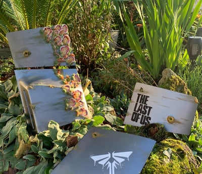 custom cover ps5 france