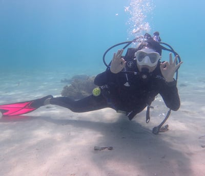 Bogani Explorer