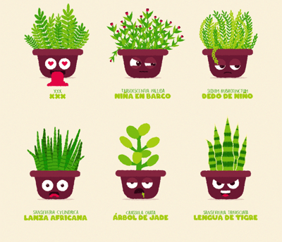 una variedad de plantas en macetas con caras