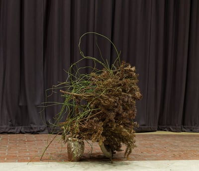 Ikebana performance-installation incorporating collected materials from Chelsea Physic Garden