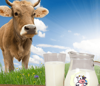 Hambaa Milk Straight from Farm