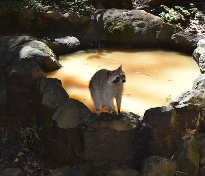 zoo voyage france guadeloupe