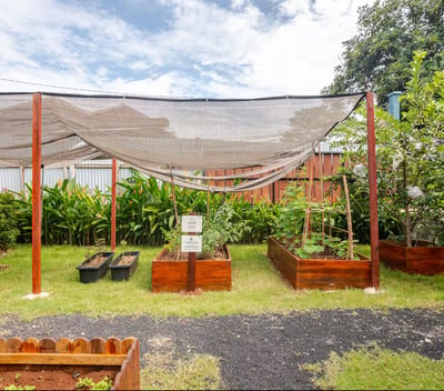 Raised farming beds for gardening and harvesting at Casa Candali farmstay.