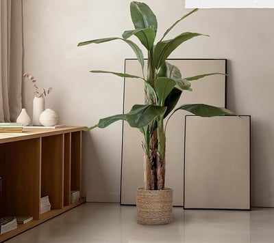 Platanera Artificial | Plantas Artificiales Decorativas | Medidas: 150 x 80 cm | Planta Artificial R
