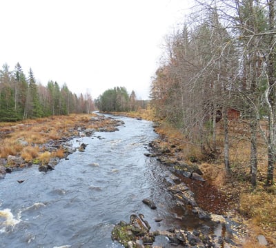 Koiteli bei Oulu