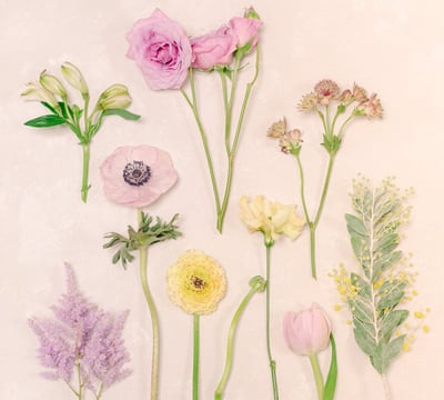 flatlay fleurs françaises d'hiver pastel jaune mauve