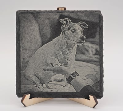 Hund auf einem Sofa, gibt Fötchen, Bild ist auf einer Schieferplatte, monochrome Farbe
