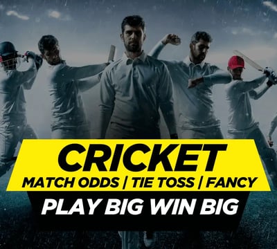 cricball99 whatsapp number