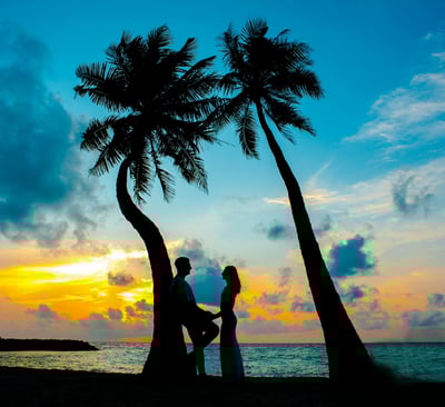 a couple holding hands and standing in front of a sunset