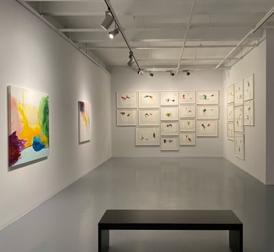 galeri nev