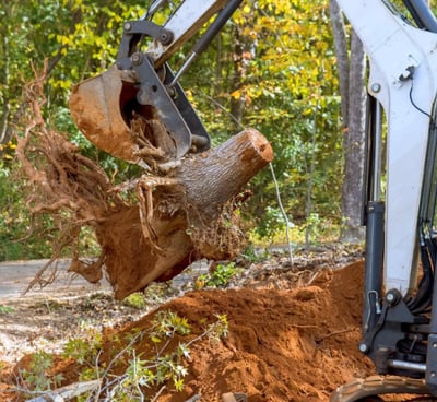 a man is taking a break from a tree stump removal