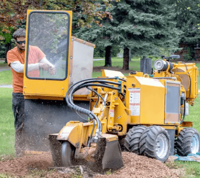 a man is using a machine to cut down a tree