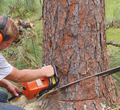 a man is using a chainsaw to cut a tree